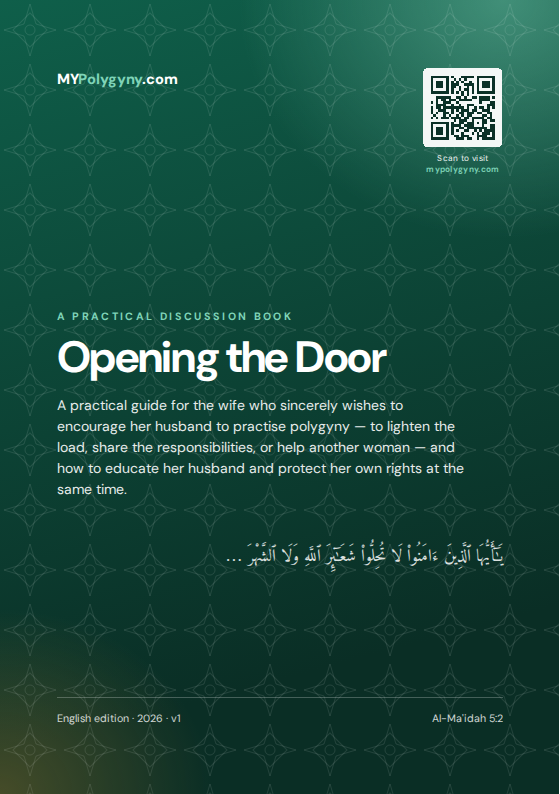 Cover of the e-book Opening the Door